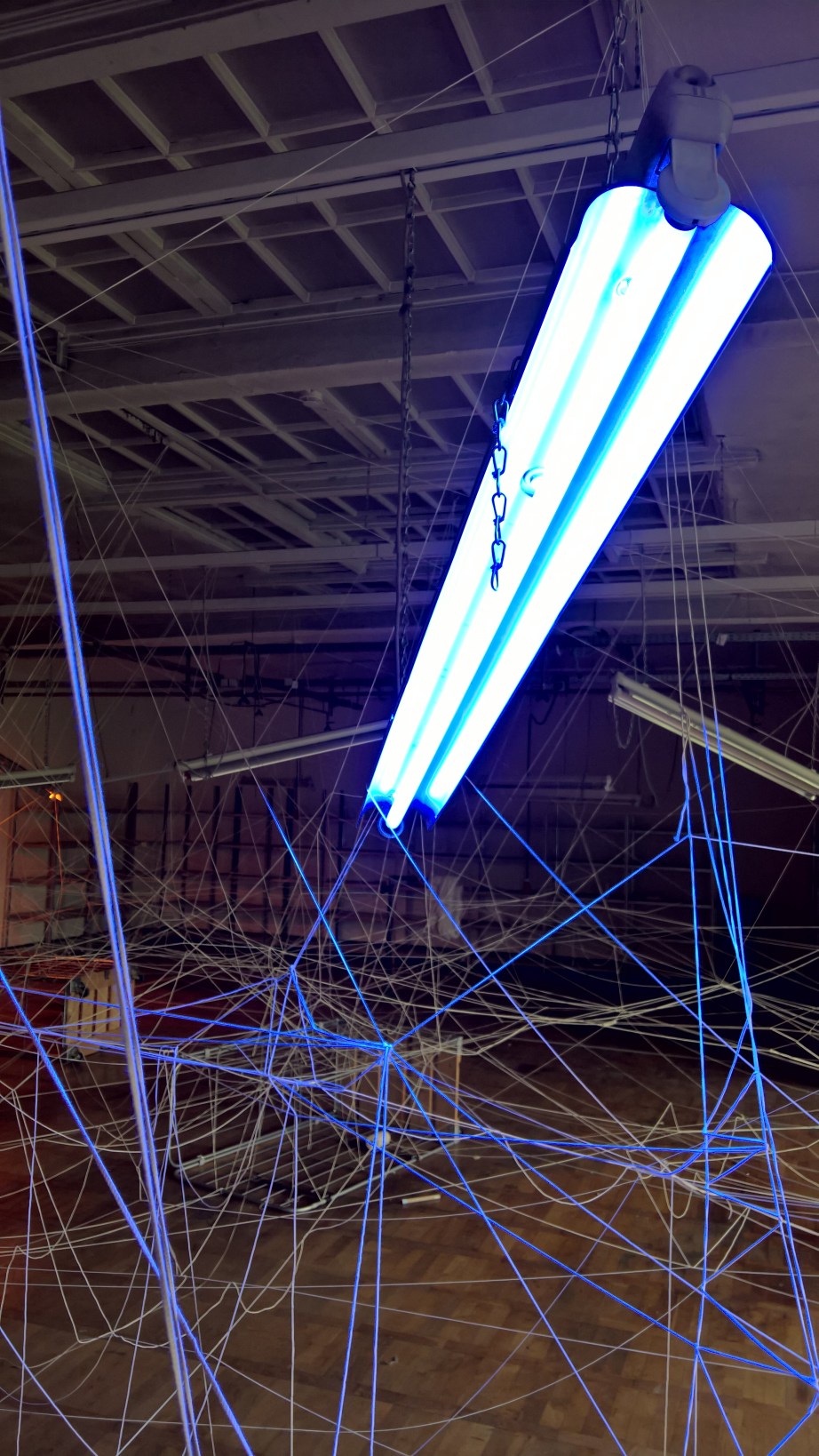 WP_20170505_17_25_24_Pro